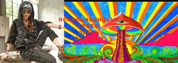 молекула духа Алексин