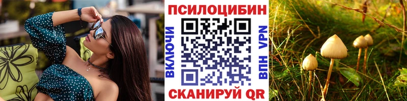 МЕГА tor  Краснообск  Галлюциногенные грибы Psilocybine cubensis  купить  