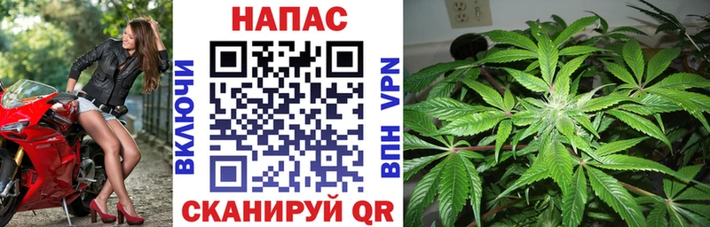 Шишки марихуана семена дарнет шоп гидра зеркало дарк нет формула Краснообск